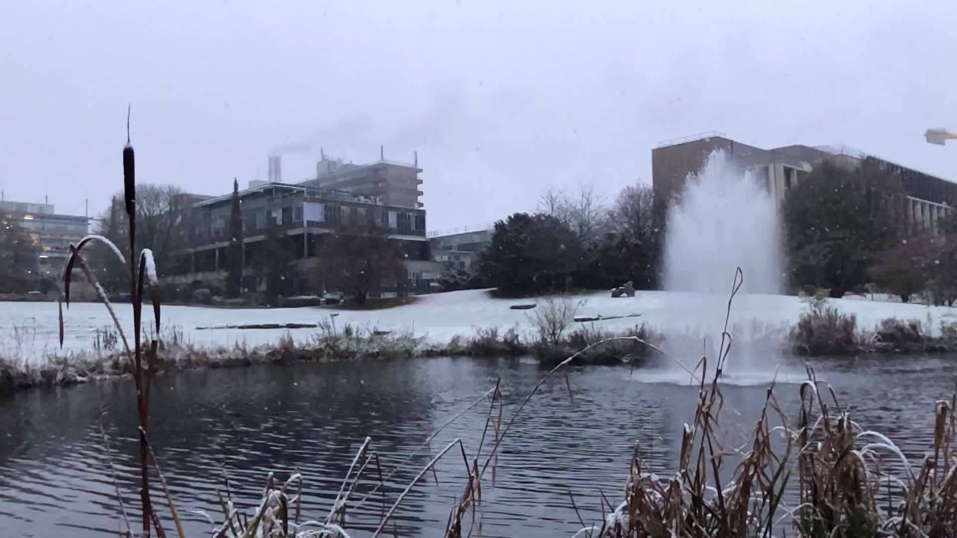 巴斯大学